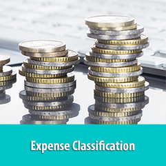 Expense classification